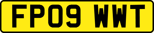 FP09WWT