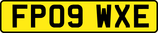 FP09WXE