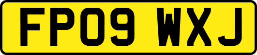 FP09WXJ