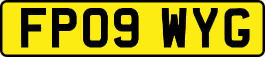 FP09WYG