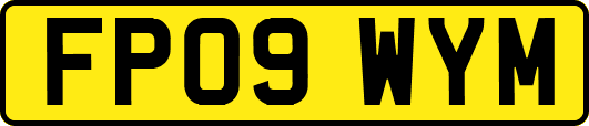FP09WYM