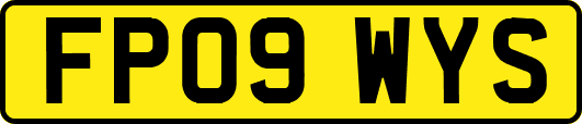 FP09WYS
