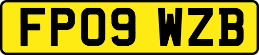 FP09WZB
