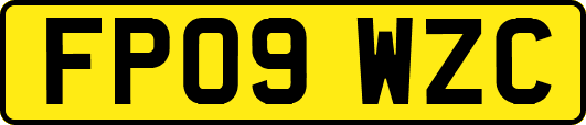 FP09WZC