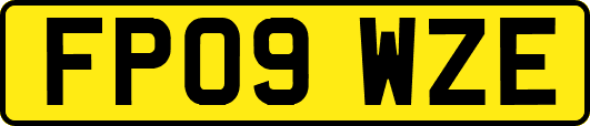 FP09WZE