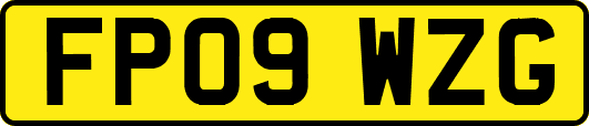FP09WZG