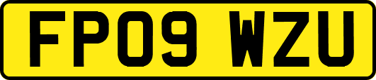 FP09WZU