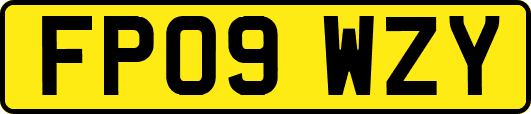 FP09WZY