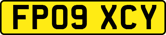 FP09XCY