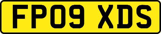 FP09XDS