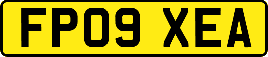 FP09XEA