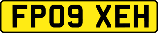 FP09XEH