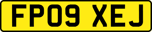 FP09XEJ