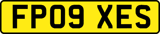 FP09XES