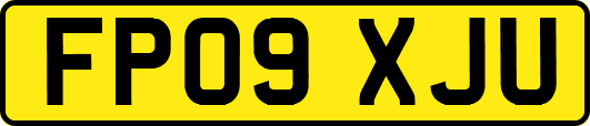 FP09XJU