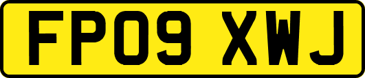 FP09XWJ