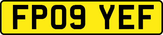 FP09YEF