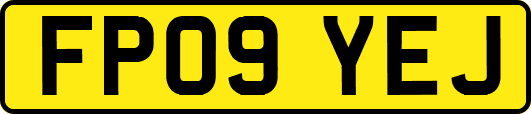 FP09YEJ