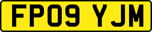 FP09YJM