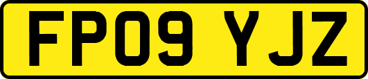 FP09YJZ