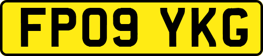 FP09YKG