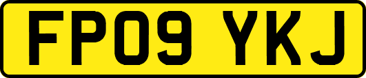 FP09YKJ