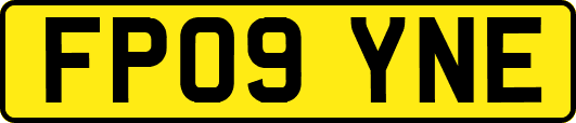 FP09YNE