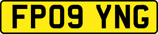 FP09YNG