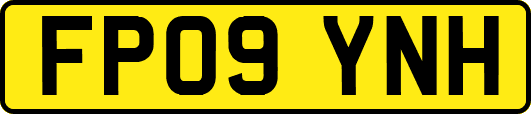 FP09YNH