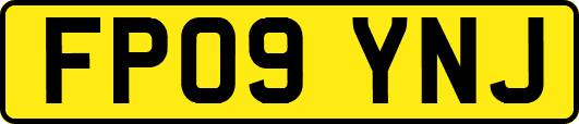 FP09YNJ