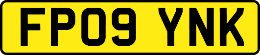FP09YNK