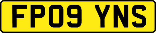 FP09YNS