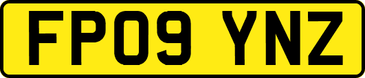 FP09YNZ