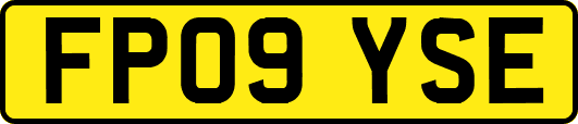 FP09YSE