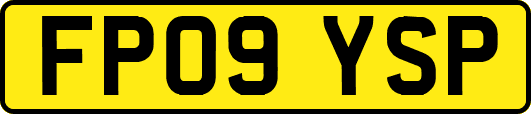 FP09YSP