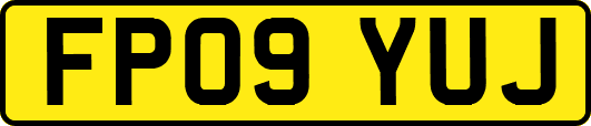 FP09YUJ