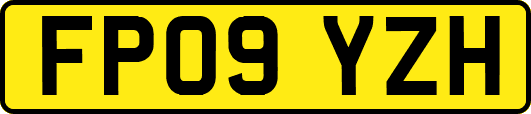 FP09YZH