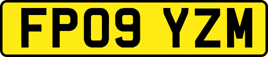 FP09YZM