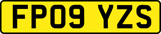 FP09YZS