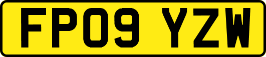 FP09YZW