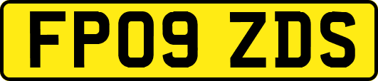 FP09ZDS