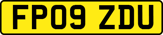FP09ZDU