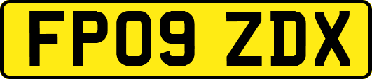 FP09ZDX