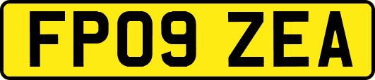 FP09ZEA