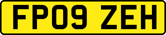 FP09ZEH