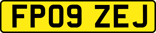 FP09ZEJ
