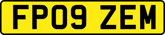 FP09ZEM