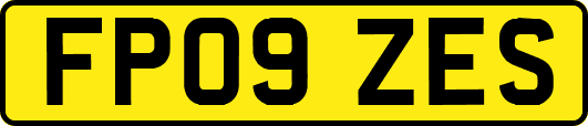 FP09ZES