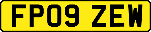 FP09ZEW