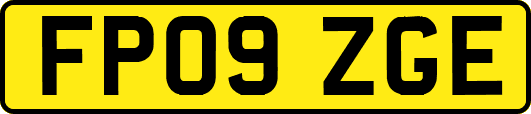 FP09ZGE
